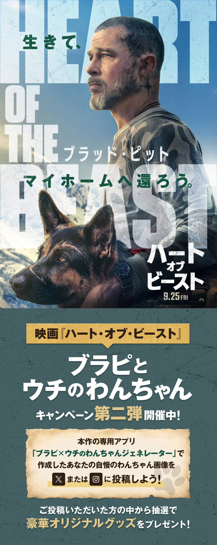 ブラピとウチのわんちゃんキャンペーン第二弾